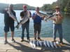 (08/29/2017) - Nice Striped Bass